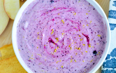 Blueberry Cheesecake Dip