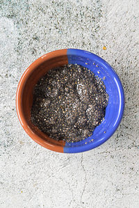 chia egg in small bowl