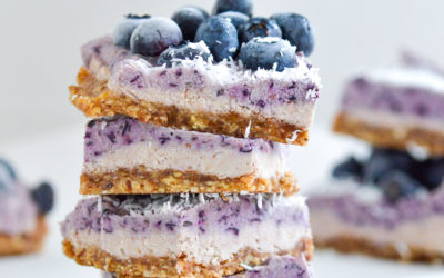 No Bake Frozen Blueberry Bars