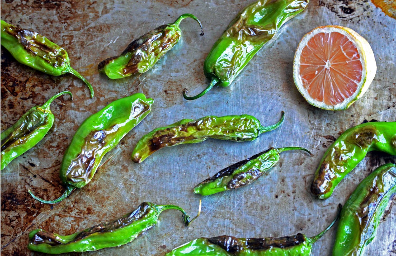 Charred Shishito Peppers